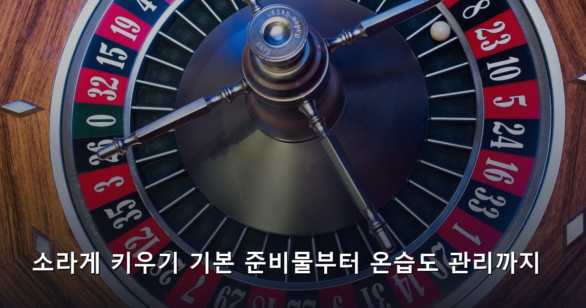 소라게 키우기 기본 준비물부터 온습도 관리까지